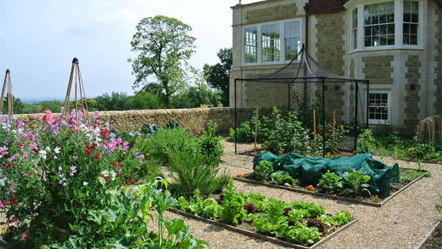 Affordable Garden Design affordable garden landscaping ideas on a budget backyard blandscape ideasb bb in landscaping ideas on a Affordable Garden Design In Haslemere For A Traditional New Home With New Home Garden Design Affordable Garden Design affordable garden garden from small yard ideas urban small backyard garden for garden garden from small Affordable Garden Design In Haslemere For A Traditional New Home With New Home Garden Design