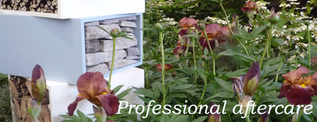 Professional aftercare