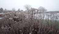 London College of Garden Design