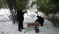 Health and safety