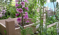 Garden design