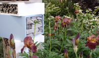 Garden design