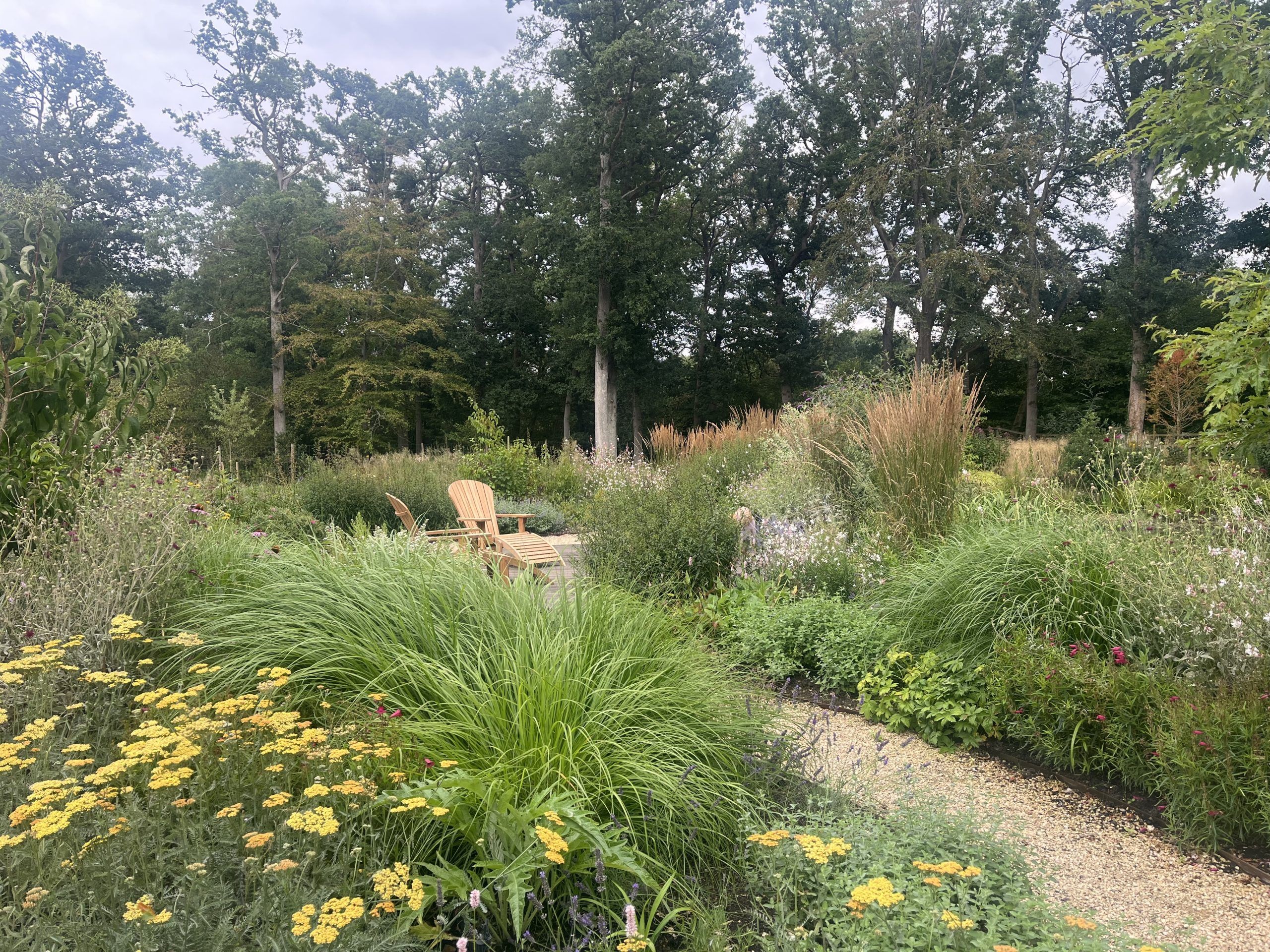 garden designers Wimbledon